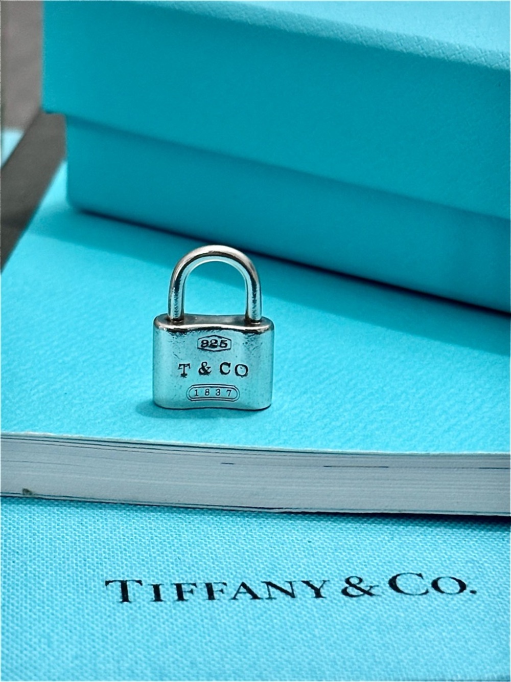 Authentic Tiffany & Co Large Padlock Pendant